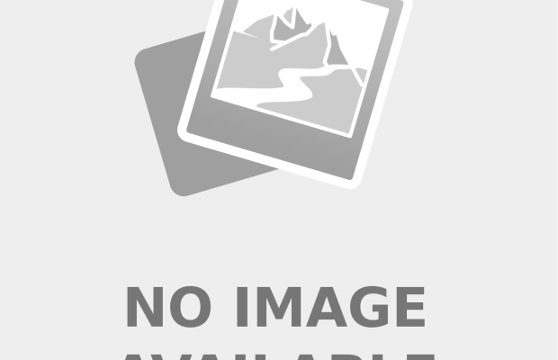 OSD Export Excellence Award: