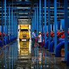 Ford Trucks Fotoğraf Yarışması 2017 - Birincilik Ödülü